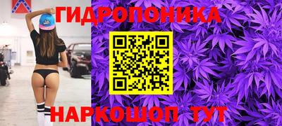 СК Мариинск