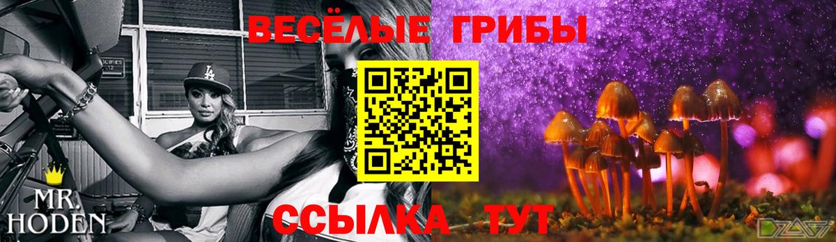 Горячий Ключ  Псилоцибиновые грибы мицелий  Вход с VPN 